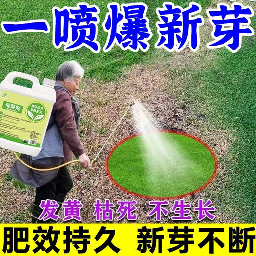 Plant bursting hormone, budding hormone, succulent leaf inserts, bud-promoting germination, household flower growing fertilizer, old pile plant clear leaf fertilizer, old pile dry yellow leaves first aid, new buds grow, 1 barrel 2500ml