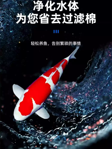 Yonghuan customized 304 stainless steel rectangular sieve fish tank feces filter sieve flour sieve fine leakage mesh turnover box length 20 width 15 height 2 cm 200 mesh