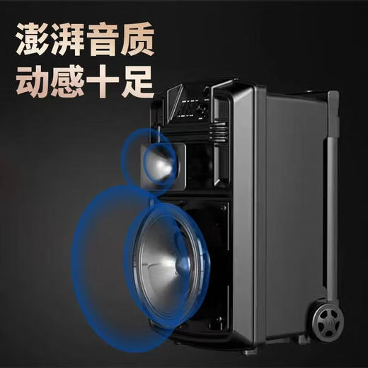 Malata M+9053 Master newly upgraded outdoor karaoke audio high-power mobile square dance trolley speaker professional stage performance built-in sound card singing and dancing amplifier all-in-one machine M+9052E upgraded version (700W) dual charging microphone free U disk gift package