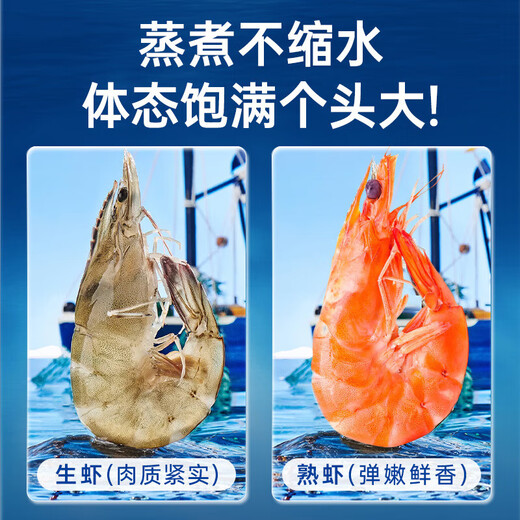 Linglue Qingdao Salted Frozen Prawns Net Weight 3Jin Jin is equal to 0.5kg 105-120 pieces Salted Frozen White Prawns Prawns Base Shrimp Fresh Shrimp