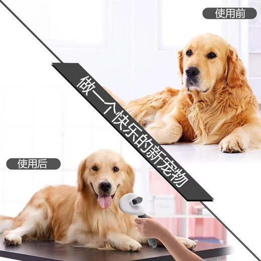 Cat and dog comb to remove floating hair artifact, pet-specific long hair cleaning comb to thin the lint and remove artifact, minimalist gray, one-click self-cleaning, protective beads
