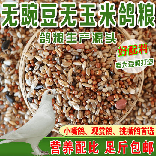 New pigeon food 20 Jin Jin is equal to 0.5 kg. Corn-free pigeon food with corn pigeon feed racing nutrition pigeon food for adult and young pigeons 5 Jin Jin is equal to 0.5 kg. Corn-free pigeon food without peas 5 Jin Jin is equal to 0.5 kg.