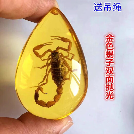 Fat Donglai's same amber insect specimens for elementary school textbooks popular insect amber resin ornaments butterfly crab creative hanging scorpion + hanging rope