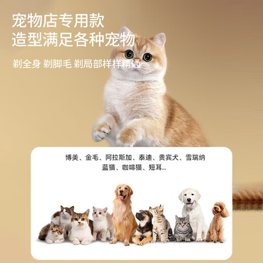 Pet shaver for trimming dogs and cats, electric hair clipper for dogs and cats, golden retriever Teddy pet hair clipper, luxury set (suitable for small and medium-sized pets)