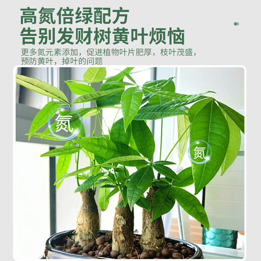 Shangyang Money Tree special plant nutrient solution 500mL flower pot yellowing and falling leaves hydroponic green plant organic flower fertilizer