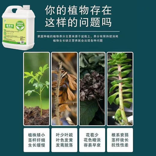 Plant bursting hormone, budding hormone, succulent leaf inserts, bud-promoting germination, household flower growing fertilizer, old pile plant clear leaf fertilizer, old pile dry yellow leaves first aid, new buds grow, 1 barrel 2500ml