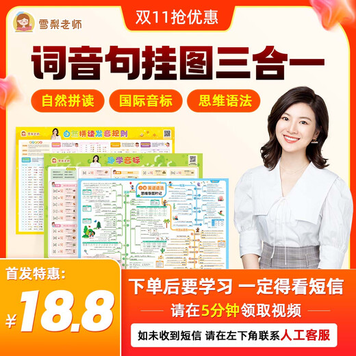 Originales Sydney-Lehrer-Poster zum spaßigen Erlernen phonetischer Symbole. Internationales phonetisches Symbol. Englische Wortliste, Wort-Phonetik-Satz-Wandtafel, Drei-in-Eins