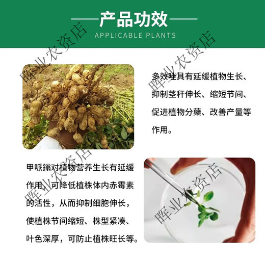 30% polyclobutrazol plant dwarfing agent paclobutrazol agricultural growth regulator 1000ml