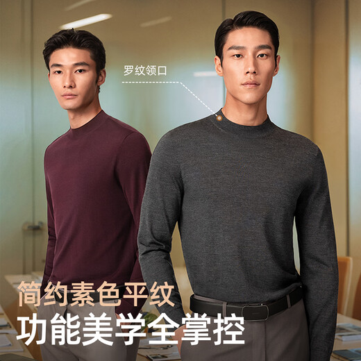 雅戈尔毛衫男全羊毛半高领羊毛衫超细毛条羊毛织物温暖舒适2025新品合款 黑色VYQW619965ABA L 105cm （推荐145-165斤）