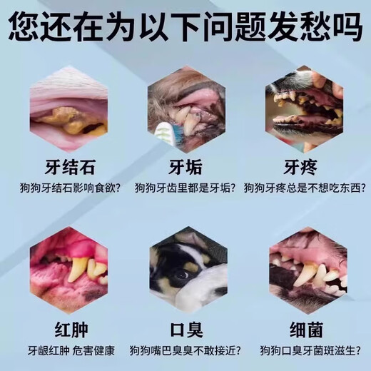 Tooth cleaning powder for cats and dogs, a tool for removing calculus from the pet's mouth. Tooth cleaning and calculus removal spray for pets. 1 bottle. Special tooth cleaning powder for pets with probiotics. Tooth cleaning powder for dogs and cats to remove yellow and smelly dental plaque.