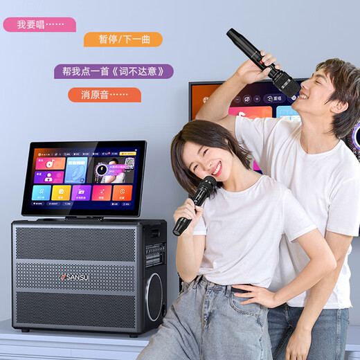 SANSUI Home KTV Audio-Set Singing Home Outdoor Square Dance Video Audio Verstärker Karaoke All-in-One-Maschine K Song Spezialausrüstung Desktop-Bluetooth-Lautsprecher Subwoofer E30+ Halterung Trolley-Tasche vier Bass 34 Lautsprecher