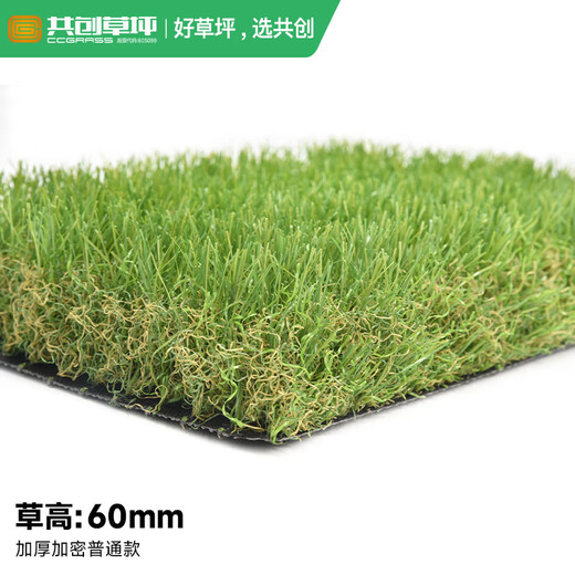 Co-Create Lawn Artificial Turf Courtyard Kindergarten Golf Simulated Turf Garden Gym School Rooftop Fake Lawn Villa 60mm Thickened Encrypted Ordinary Style