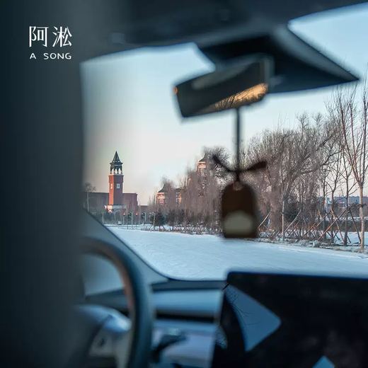 Yusenyi Ahsong original Yunli solid wood car aromatherapy pendant car fragrance tablets diffuser stone car fragrance single Yunli Wuwei single Yunli Wuwei 1g 1 bottle