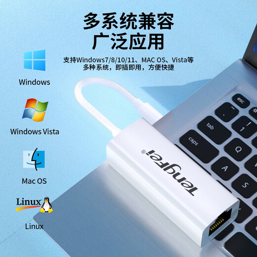 Tengfei以太网转换器 Type-C转RJ45网口 USB-C转有线百兆网卡 免驱动转网口 网线转接器头
