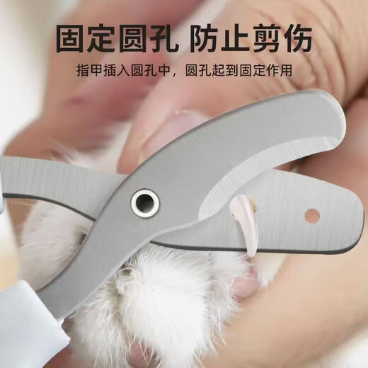 Pengyi cat nail scissors, small blind scissors, cat nail scissors, pet nail clippers, nail clippers, cat paw scissors, 1 blue pet double-hole small blind scissors