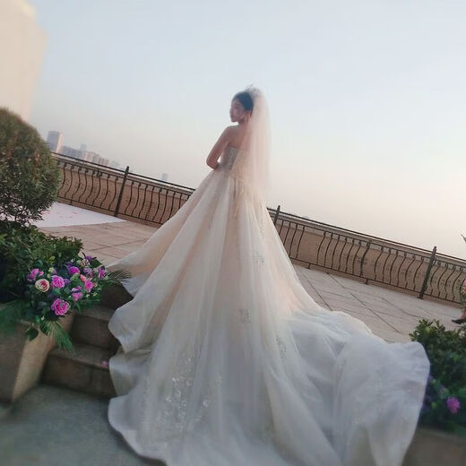 Veil light champagne color super fairy short main wedding dress simple and versatile headwear wedding proposal registration certificate small veil white 1 pack