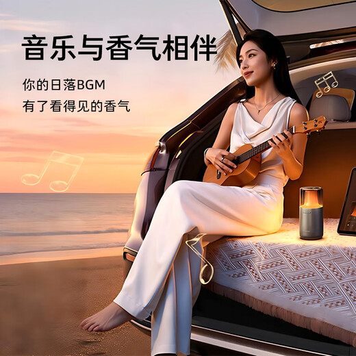 TORRAS Car Aromatherapy Car Perfume Smart Air Purifier Fragrance Motorcycle Interior Decorative Ornaments Viewing New Car Gift