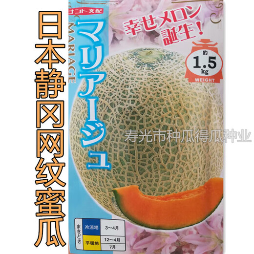 Japanese imported reticulated melon seeds, sweet watermelon horn honey seeds, fruit spring vegetable seeds, Shizuoka reticulated melon seeds 100 original pieces