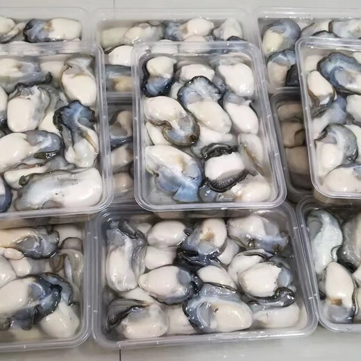 Pure raw oyster meat, freshly shucked, freshly shucked seafood, aquatic pearl oysters, oyster meat, oyster meat, 2 boxes, 250g/box, about 15-30 pcs