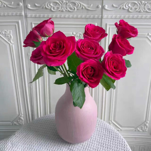 Jingdong Flowers Boutique Soilless Cultivation Roses in Random Colors 10 Pack New Year's Eve and New Year's Day New Year's Eve Gifts 45-50CM Straight from the Source