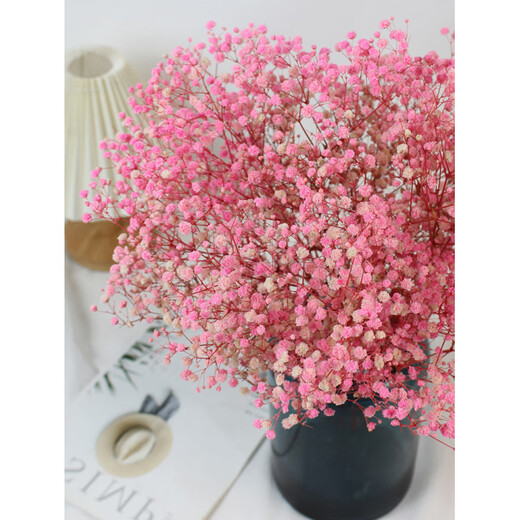 Jatu Dace Festival Dried Flowers Everlasting Gypsophila Real Flowers Home Wedding Decoration Flower Arrangement Window Soft Decoration Landscaping Dream Star Yunnan Straight Everlasting Gypsophila Light Pink About 420g