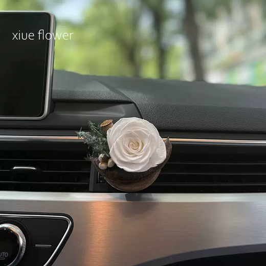 Yusenyi Immortal Flower Real Flower Car Air Outlet Decoration Car Aromatherapy Premium Gift Women's Car Fashion Car Air Conditioner Warm Pink Immortal Flower Real Flower Warm Pink Immortal Flower Real Flower 1g 1 Bottle
