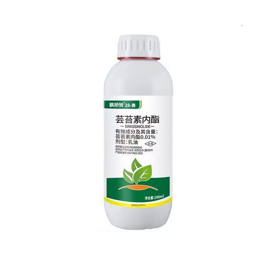 Wholesale genuine 28 epibrassinolide plant growth regulator to regulate growth and increase yield pesticide 1 bottle (1000 ml) Big Boss Choice