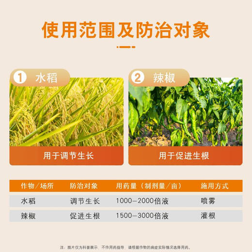 Guoguang Xiancuo 1% triacontanol + indolebutyric acid rooting agent to strengthen seedlings rooting powder rice pepper authentic 400g