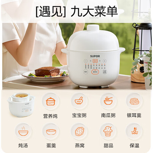 SUPOR electric stew pot, soup pot, 1 liter mini water-proof stew pot, ceramic smart reservation, multi-functional, small 1-2-3 people, household baby food supplement pot, bird's nest artifact 1L DZ10YC882