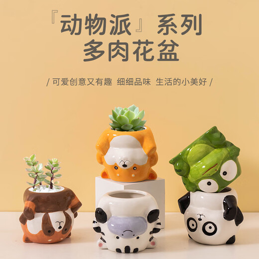 源老舍【新品】创意卡通多肉花盆个性倒立动物派肉肉专用陶瓷办公室书桌 卡通倒立奶牛+白兔 陶瓷