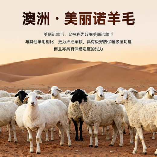 Septwolves wool sweater autumn and winter warm and cold-proof 100% sheep wool sweater men's sweater casual tops men's clothing