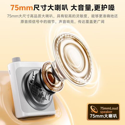 Xiaomi Buyi Little Bee Lavalier Wireless Audio Amplifier Teacher Tour Guide Shopping Guide Executor Teacher Teaching Special Class Outdoor Portable High Power Microphone Player Speaker Elegant Black Wireless Version Dual Microphone Magnetic Fast Charging Limited Time Special Offer