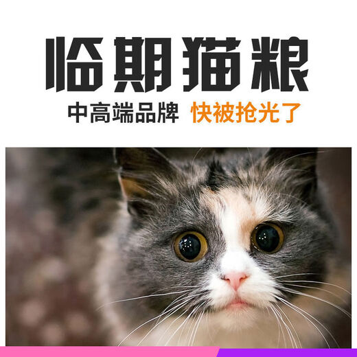 Sanqihu Cat Food 500g to 10kg Processed Cat Food for Adult and Young Stray Cats Economical and Affordable Damaged Cat Food 2010kg2 Cat 10kg Micro-damaged Lake