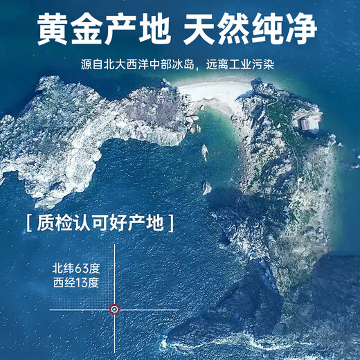 北极红参 冰岛进口海参红极参 大个装非淡干精品 滋补送礼送父母 北极红参500g/包*2 净重1kg