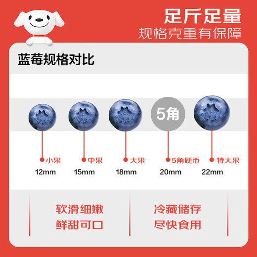 Jingxiansheng Yunnan Blueberry 22mm+ Extra Large Fruit 6 Boxes Net Weight 125g/box Fresh Fruit