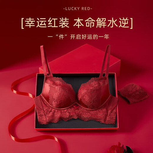 Victoria's Fantasy French New Style Underwear Set Small Breast Push Up Adjustable Sexy Lace Red Bra Burgundy (Set) M 34/75 (AB Pass)