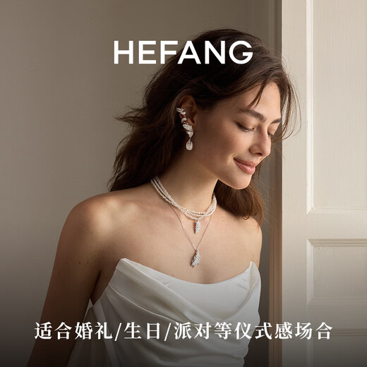 HEFANG He Fang Jewelry White Crystal Feather Earrings Silver Earrings Women's Light Luxury High-end Birthday Gift for Girlfriend Silver/Earring Style