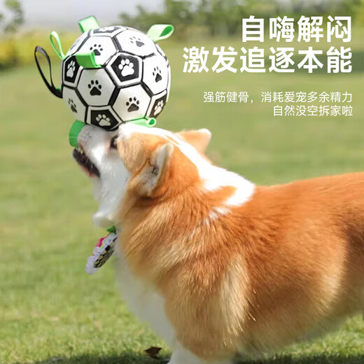 Huanpet.com Pet Dog Toy Football Bite-resistant Molar Ball Puppy Border Collie Bichon Golden Retriever Large Self-Playing Boredom Relief Artifact