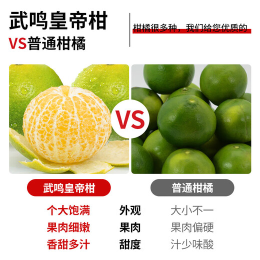 皇帝柑柑橘非沃柑新鲜应季水果鲜甜多汁果肉细嫩多汁(一级果） 皇帝柑带箱9斤(55mm+)