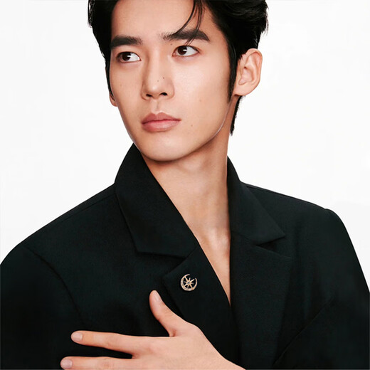 BJYL men's suit creative brooch with coat high-end exquisite fashion niche retro light luxury men's wedding national style accessories golden star and moon brooch