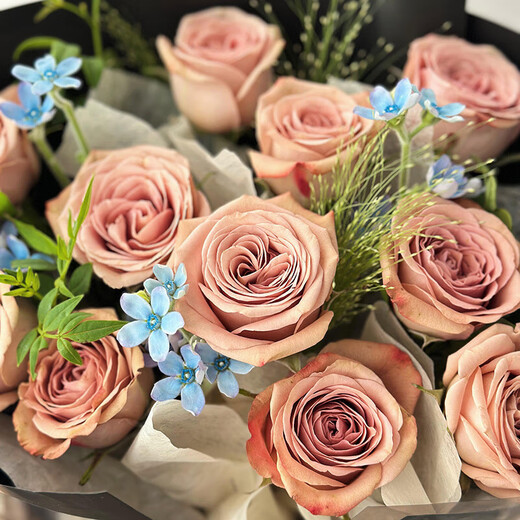 Flowers delivered in the same city, cappuccino rose bouquet, birthday gift, flowers for girlfriend, best friend and boyfriend, flower delivery from flower shop, milk foam branding | 11 cappuccino roses and blue star flower mixed bouquet