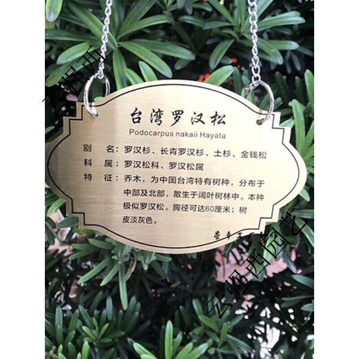 Stainless steel tree sign spring tension spring rope hanging chain stainless steel material retractable without damaging the tree sign sign customization stainless steel 0.6*20CM spring including one screw 0x0cm