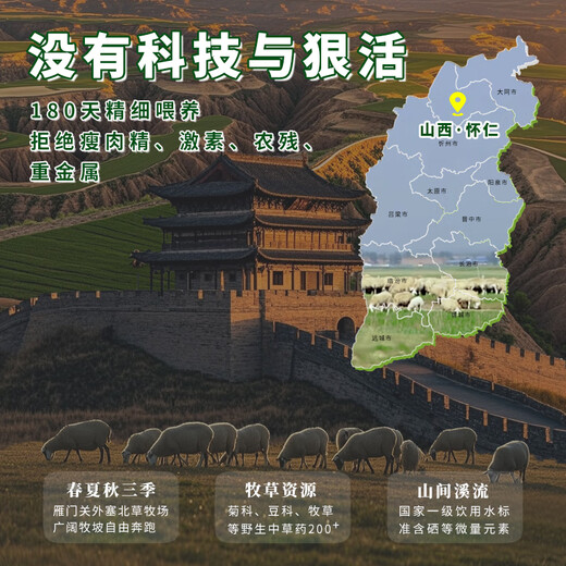 Shuomei Sheep Sai Beitan Sheep Salt-alkaline Lamb Rolled Meat Sliced Fresh 1.2 Jin Jin is equal to 0.5 kg Lamb Hot Pot Stewed BBQ Straight from the Source