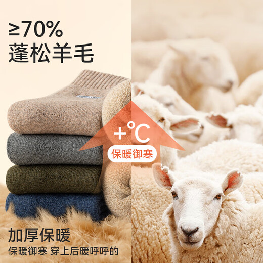 Modal 70% wool socks men's mid-calf socks autumn and winter stockings embroidered plus velvet thickened northeastern warm thick socks 3 pairs