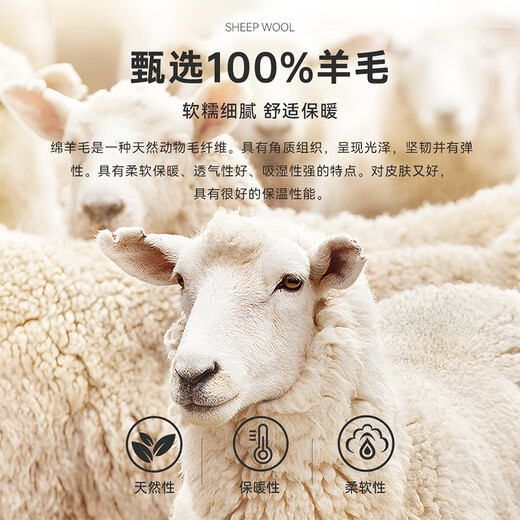 Raidy Boer Raidy Boer/Raidy Boer 100% sheep wool 2025 autumn men's knitted sweater cardigan 5053 black M /170/48