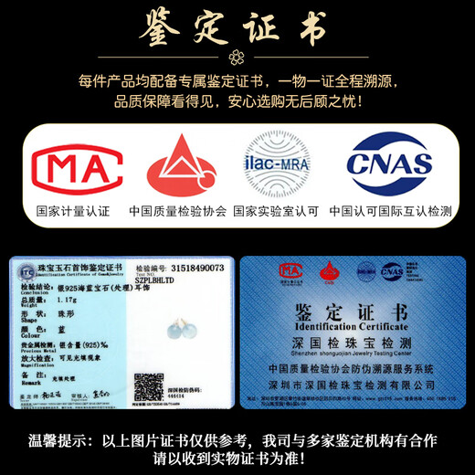 Shi Yue Jewelry (SHIYUEZHUBAO) Aquamarine Stud Earrings for Women Natural Crystal Earrings with Appraisal Certificate Sea Ning Pearl Style