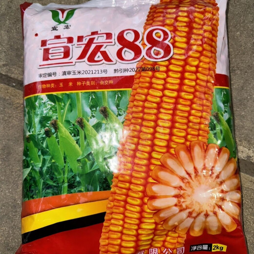 Xuanhong 88 corn seed big cob - tooth depth 2kg per bag original Xuanhong 88 corn seed 4Jin Jin equal to 0.5kg pack/bag