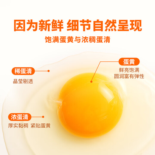 Oriental selection eggs can be eaten raw, each egg is about 50g, fresh and nutritious breakfast soft-boiled eggs, fresh cereal-fed fresh eggs, 30 pieces, 1.5kg, fresh cereal eggs Oriental selection eggs can be eaten raw, each egg is about 50g, fresh and nutritious breakfast soft-boiled eggs, fresh cereal-fed fresh eggs, 30 pieces, 1.5kg, fresh cereal eggs