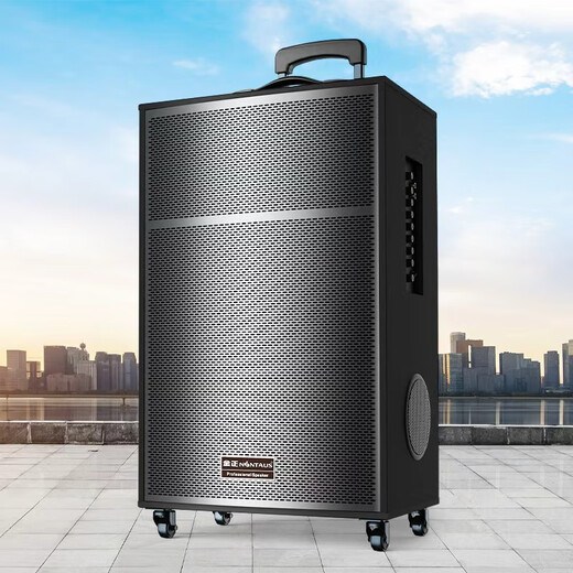 NINTAUS Square Dance Audio Outdoor K Song and Dance Performance Trolley Mobile Bluetooth Speaker Store Dedicated Large Volume Deluxe Edition Dual 15-inch 2 Microphones + Coverage 3500 Square Meters