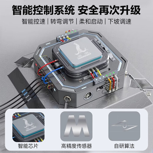 Phoenix Electric Tricycle Passenger and Cargo Dual-Purpose Electric Tricycle Small Bucket for Cargo Transport for the Elderly Electric Tricycle Fengming PLUS 650W48V12A Lead-Acid Battery About 20 Kilometers